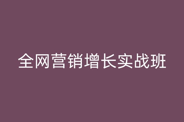 全网营销增长实战班