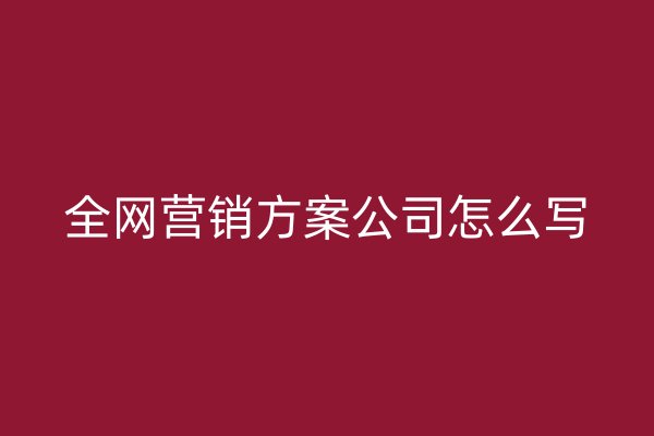 全网营销方案公司怎么写