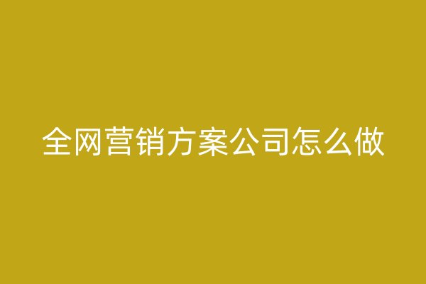 全网营销方案公司怎么做