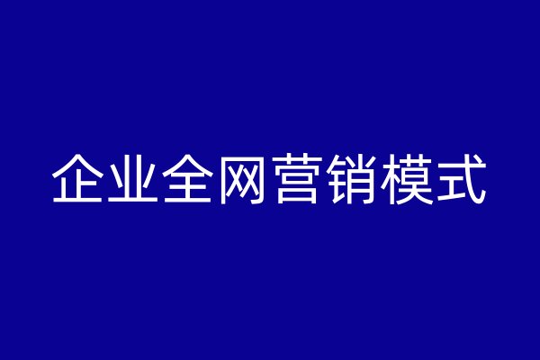 企业全网营销模式