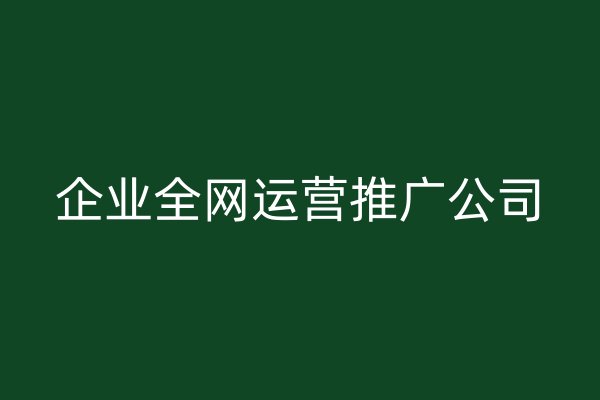 企业全网运营推广公司