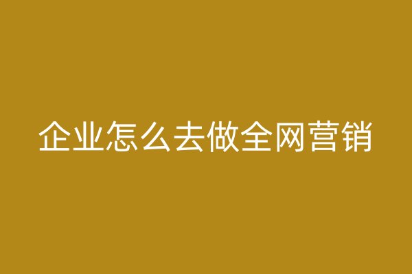 企业怎么去做全网营销