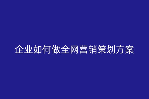 企业如何做全网营销策划方案