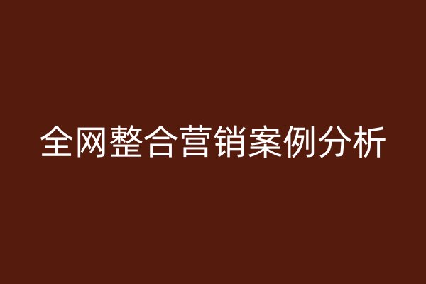 全网整合营销案例分析