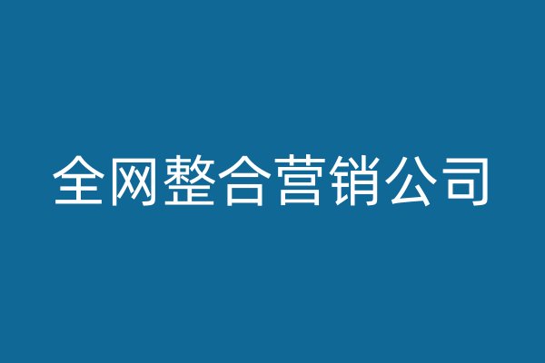 全网整合营销公司