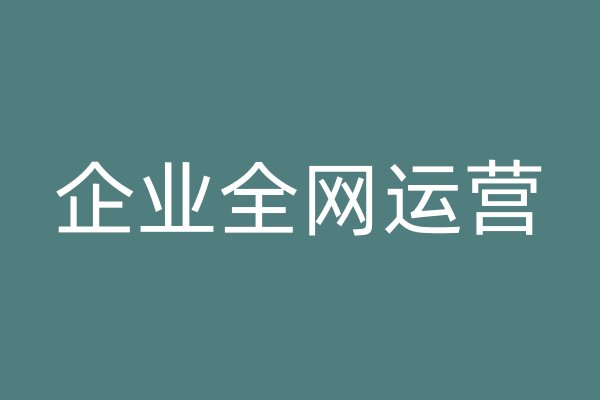 企业全网运营