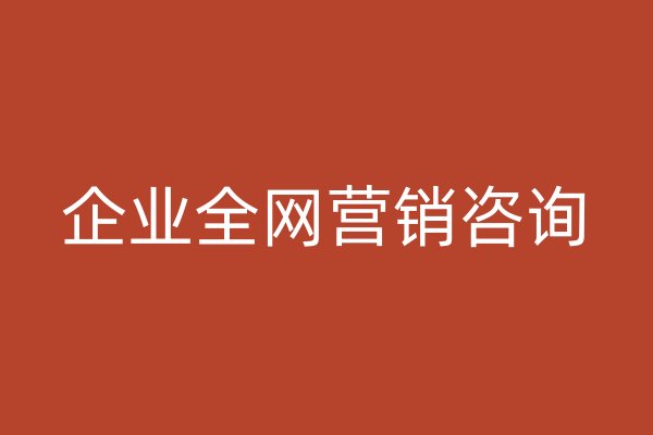 企业全网营销咨询