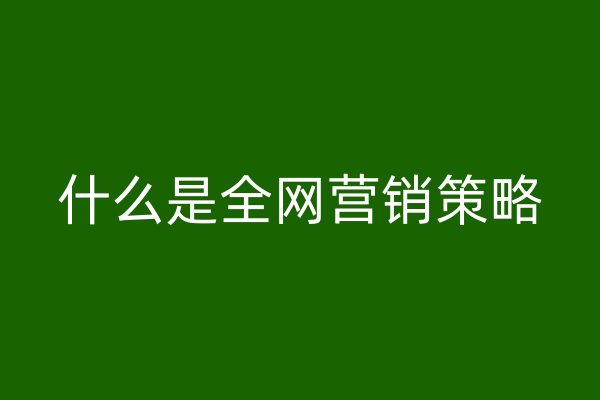 什么是全网营销策略