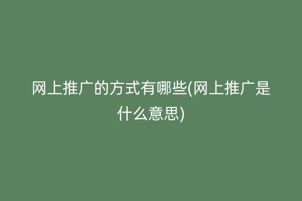 网上推广的方式有哪些(网上推广是什么意思)