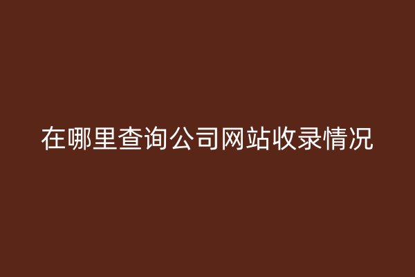 在哪里查询公司网站收录情况