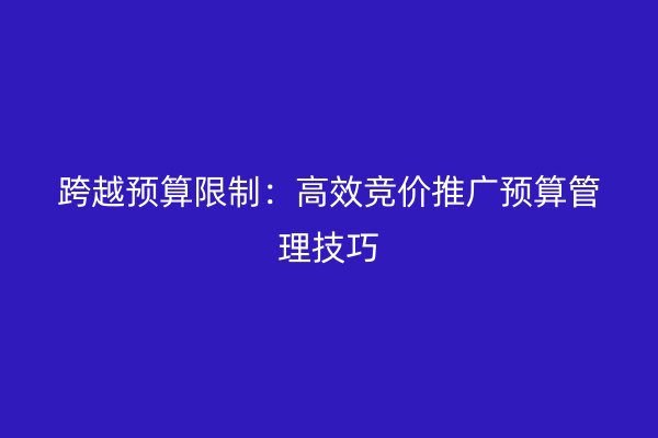 跨越预算限制：高效竞价推广预算管理技巧