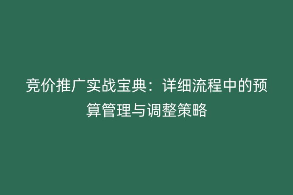 竞价推广实战宝典：详细流程中的预算管理与调整策略