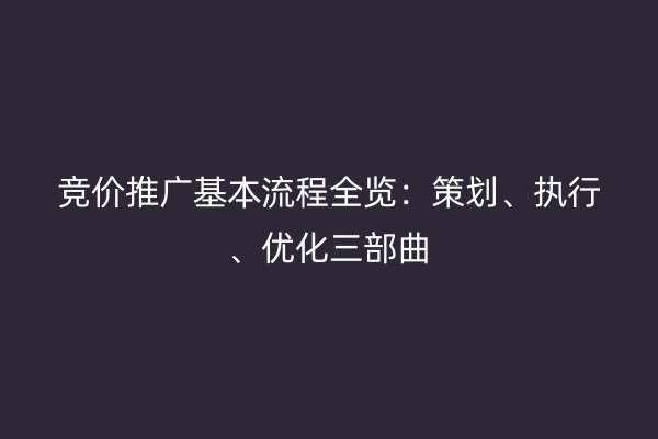 竞价推广基本流程全览：策划、执行、优化三部曲