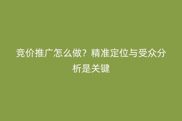 竞价推广怎么做？精准定位与受众分析是关键