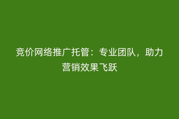 竞价网络推广托管：专业团队，助力营销效果飞跃