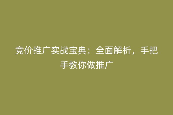 竞价推广实战宝典：全面解析，手把手教你做推广