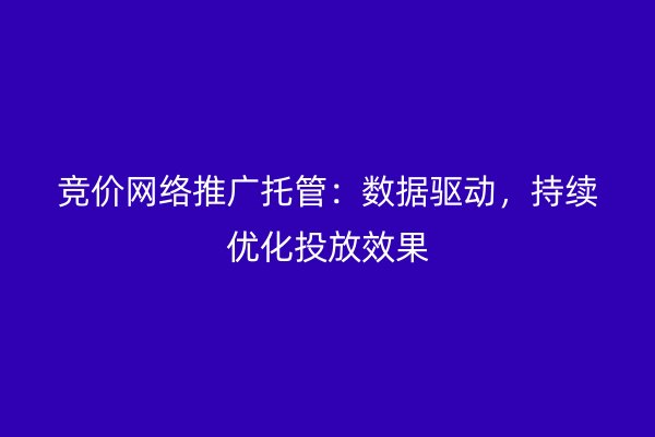 竞价网络推广托管：数据驱动，持续优化投放效果