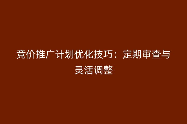 竞价推广计划优化技巧：定期审查与灵活调整