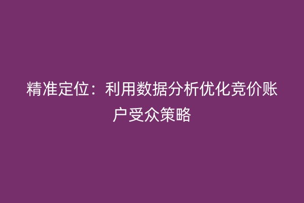 精准定位：利用数据分析优化竞价账户受众策略