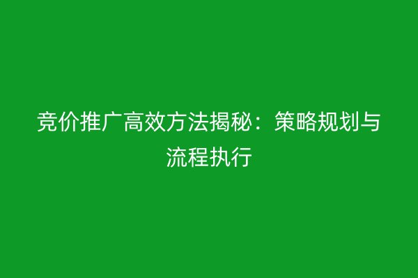 竞价推广高效方法揭秘：策略规划与流程执行