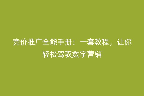 竞价推广全能手册：一套教程，让你轻松驾驭数字营销