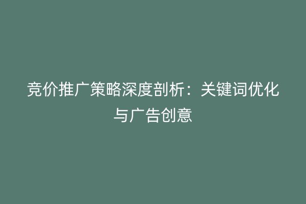 竞价推广策略深度剖析：关键词优化与广告创意