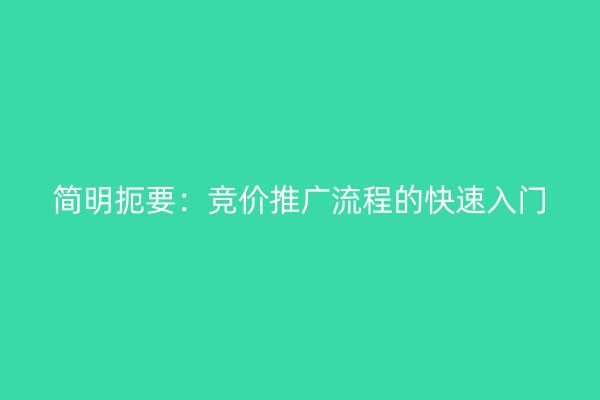 简明扼要：竞价推广流程的快速入门