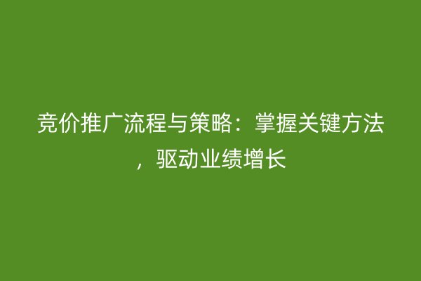 竞价推广流程与策略：掌握关键方法，驱动业绩增长