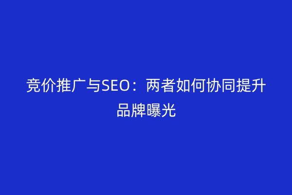 竞价推广与SEO：两者如何协同提升品牌曝光