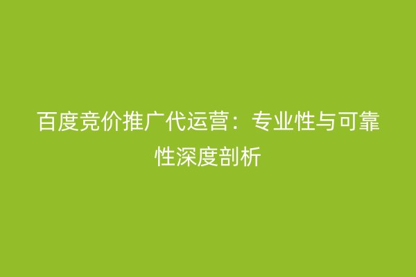 百度竞价推广代运营：专业性与可靠性深度剖析