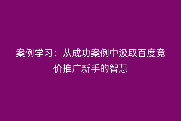 案例学习：从成功案例中汲取百度竞价推广新手的智慧