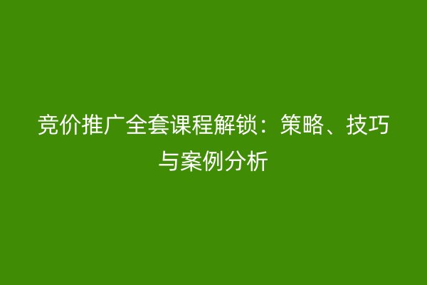 竞价推广全套课程解锁：策略、技巧与案例分析