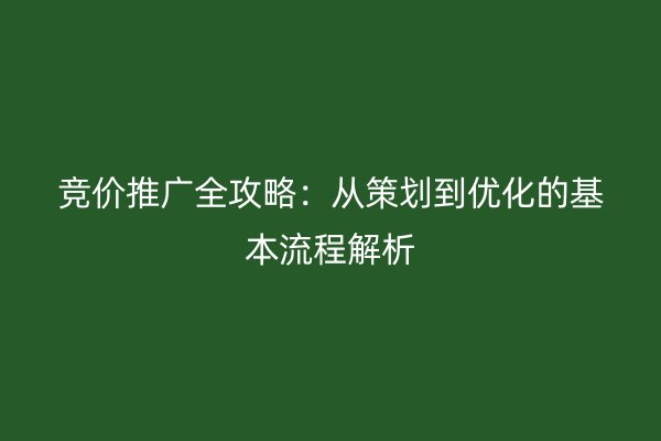 竞价推广全攻略：从策划到优化的基本流程解析