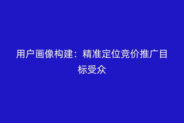 用户画像构建：精准定位竞价推广目标受众