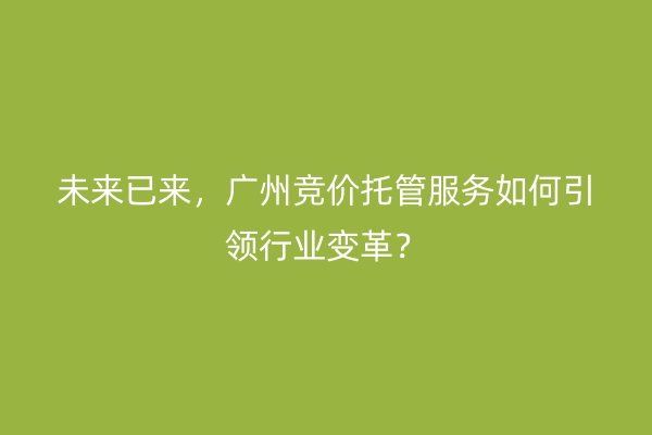 未来已来，广州竞价托管服务如何引领行业变革？