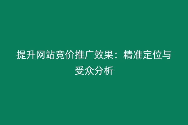 提升网站竞价推广效果：精准定位与受众分析