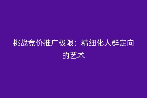 挑战竞价推广极限：精细化人群定向的艺术