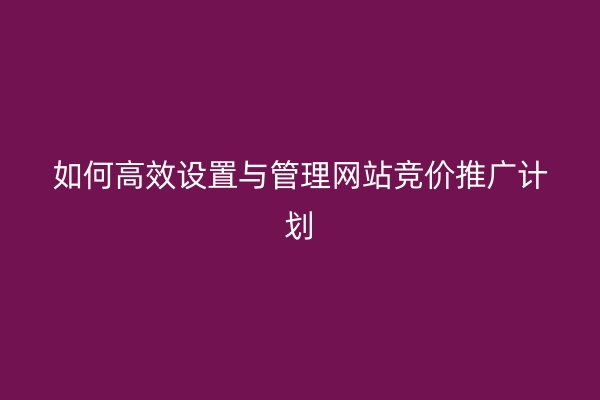 如何高效设置与管理网站竞价推广计划