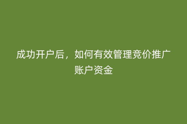 成功开户后，如何有效管理竞价推广账户资金