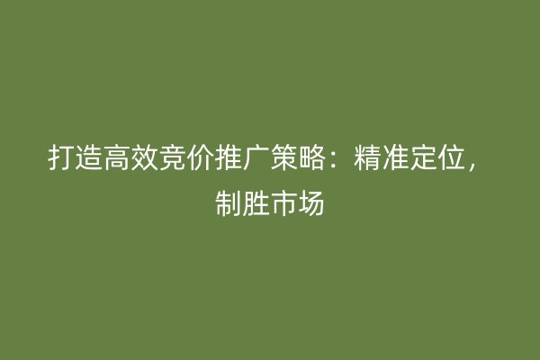 打造高效竞价推广策略：精准定位，制胜市场