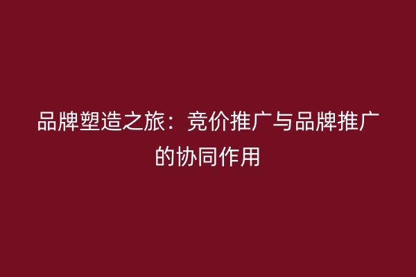 品牌塑造之旅：竞价推广与品牌推广的协同作用