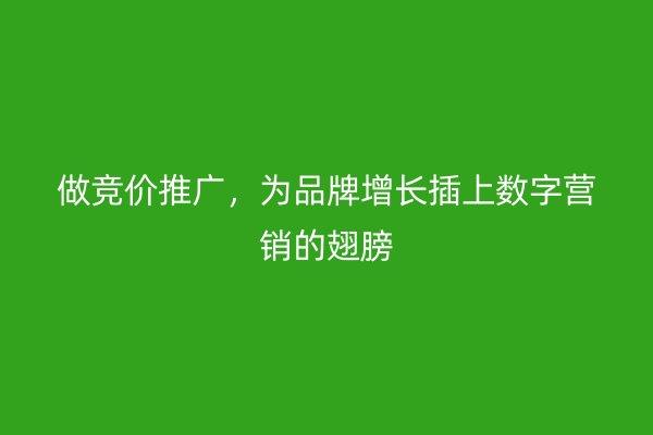 做竞价推广，为品牌增长插上数字营销的翅膀