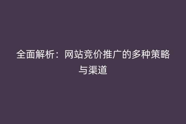 全面解析：网站竞价推广的多种策略与渠道