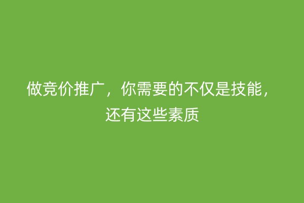 做竞价推广，你需要的不仅是技能，还有这些素质