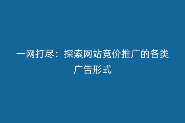 一网打尽：探索网站竞价推广的各类广告形式