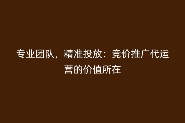 专业团队，精准投放：竞价推广代运营的价值所在