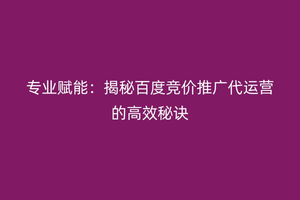 专业赋能：揭秘百度竞价推广代运营的高效秘诀