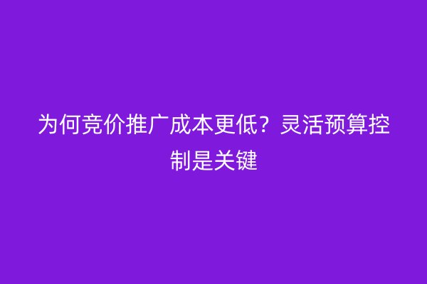 为何竞价推广成本更低？灵活预算控制是关键