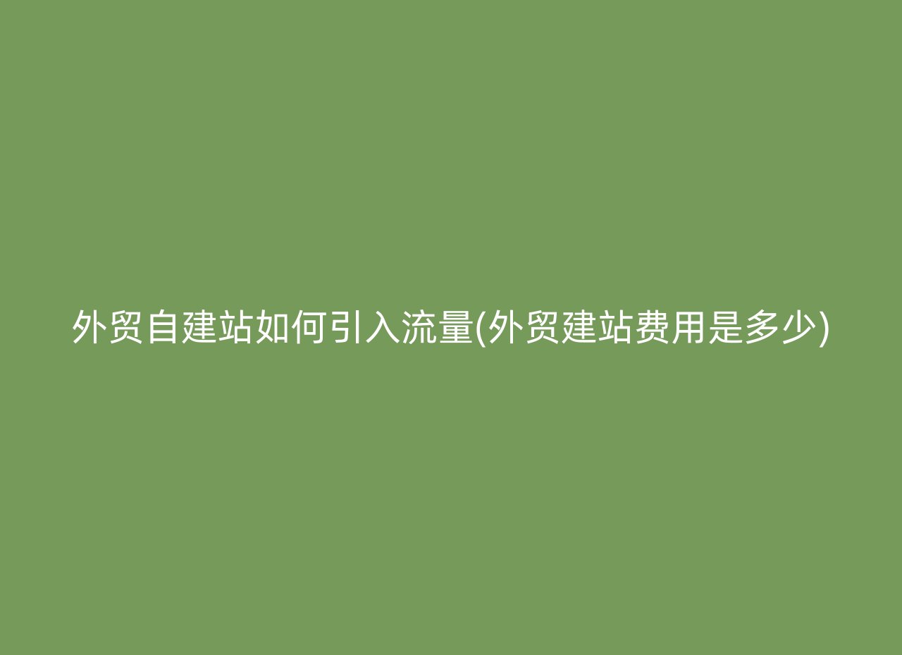 外贸自建站如何引入流量(外贸建站费用是多少)