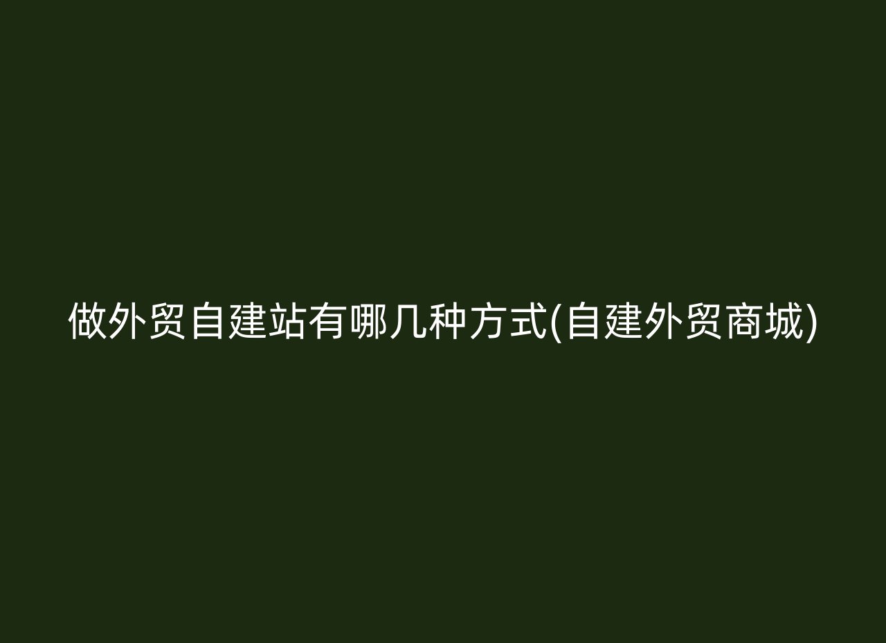 做外贸自建站有哪几种方式(自建外贸商城)